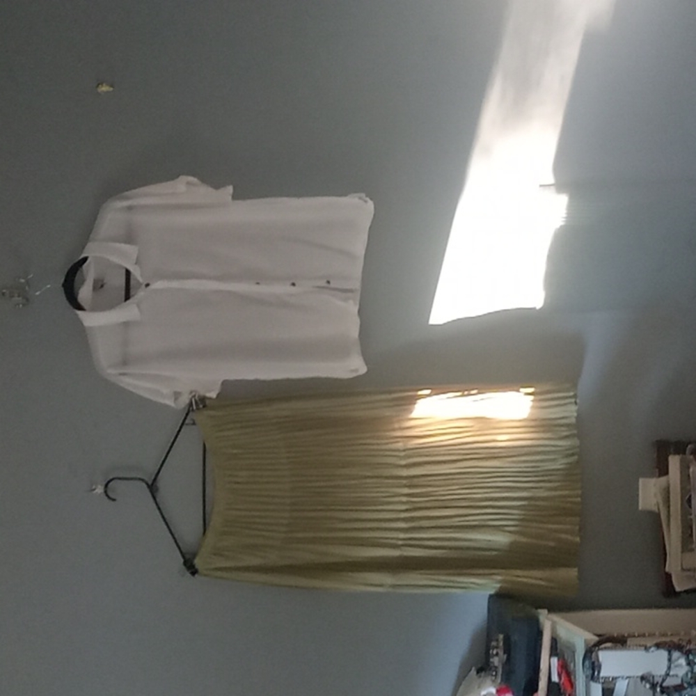 Pleated skirt by Coldwater creek.    White collared button up blouse by Bench